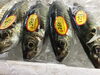 「魚魚市場鮮魚コーナーおすすめは「チカメキントキ」です♪」
