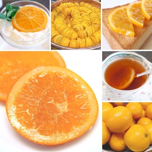「【季節限定】オレンジ収穫時期の今だけ！「瀬戸内芳醇オレンジジャム」販売中です✨」