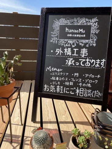 観葉植物たちの日光浴 Hanaemu ハナエム 外構とお庭雑貨のお店のニュース まいぷれ 米子
