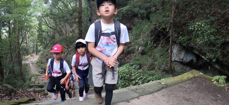 1年生がすっごい頼もしいです☆「鳳来寺山に数年ぶりに行きました！」
