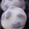 スーパー豆大福２個入