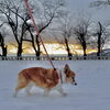 「12/3 Good morning Otaru!」
