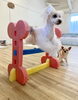 理玖くん　姿勢がキレイ😍「ましゅまろ幼稚園🐾パート２ &サロン予約状況」
