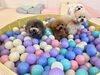 ３姉妹　ボールプールでもぞもぞ遊んでます😁「ましゅまろ幼稚園🐾」