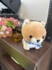 可愛い新入塾生「春期講習会参加生＆4月入塾生募集中！」