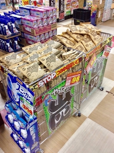 担当者激推し おススメ商品のご紹介です Megaドン キホーテ西条玉津店のニュース まいぷれ 西条市 担当者激推し おススメ商品のご紹介です Megaドン キホーテ西条玉津店のニュース まいぷれ 西条市