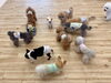 みんなでノーズワーク中😋「ましゅまろ幼稚園🐾」