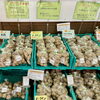 「『種いも』の販売がはじまりました！道の駅木曽福島」