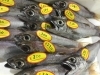 「魚魚市場鮮魚コーナーおすすめは「本ガツオ」です♪」