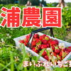 千歳市【松浦農園】※今シーズンは終了致しました。
