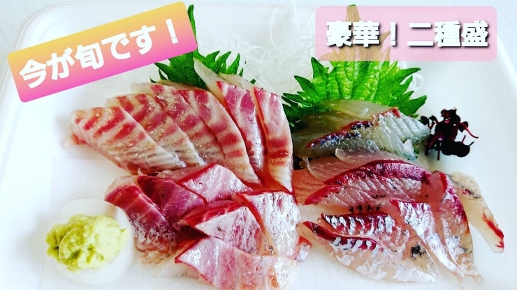 本日のお刺身 定置もん 島根県産イサキ トビウオ 寺津屋 仕出し 会席料理のニュース まいぷれ 松江 本日のお刺身 定置もん 島根県産イサキ トビウオ 寺津屋 仕出し 会席料理のニュース まいぷれ 松江