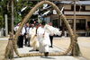 https://higashi-okayama.mypl.net/article/saidaiji-matsuri_higashi-okayama/53625