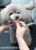 「秋のオプションキャンペーン　（╹◡╹）」