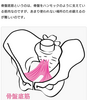 骨盤底筋のお仕事「フェムケアを始めましょう♥」