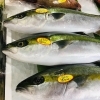 「魚魚市場鮮魚コーナーおすすめは「さより・ヤリイカ」です♪」