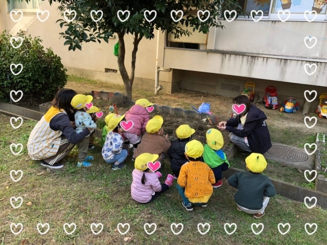 「植えたよ❁¨̮ 【交野市 小規模保育園】」