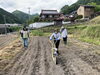 交代して種まき機初体験「本日（５月２８日日曜日）、ひまわりの種まきをしました。」