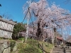 千手院