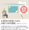 「【お買い得情報！】」