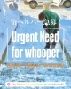 「Tuesday, 16th December 2025」