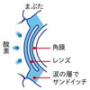 コンタクトとまばたきと涙の素敵な三角関係「コンタクト・メガネ・目の豆知識Vol.1」