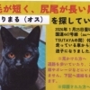 探しております。