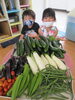 みてみて！こんなに野菜が採れたよ♪「砂場で水遊び＆野菜の収穫を楽しみました☆」