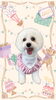 「Dog salon mofu mofu　余市町」