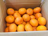 「日南産のみかんが勢ぞろい！【野菜・果物は清武の黒木商店で♪】」