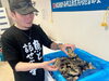 「【新鮮で美味しい】自分でむいて食べれる生カキ！生ホタテ！（1つ150円・組合せ自由5つ700円※数量限定！毎週金曜・土曜）北海道オホーツク海の幸🌟東新小岩『ひろさと商店』さん※「魚と話せます」のTシャツが似合う店主：村本浩美さん♪」