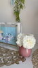 薔薇も咲きました🌹「浄化して空気の良い空間に✨最高のサポート役紫陽花が満開です🎶 【札幌北区篠路プライベートサロン　Te-tora】 美軸・数霊術カウンセリングも好評！脳波と骨格を整え睡眠の質を上げる安眠サロン」