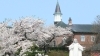 トラピスト修道院の桜と異国情緒あふれる風景