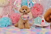 ん　また・・・・・テラ・・・・「Anniversary photo　(^O^)／」
