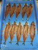 「📣本日のお魚情報🐟」