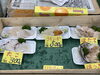 「サケガシラの唐揚げ」