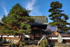 「遍照寺の大イチョウ（文化財巡り～長井市その1～）」