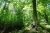 森の中で森林浴も良いですよね。「脳を休ませる事を実施してみましょう。」
