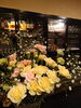 カーネーション「店で花見酒しましょ🍶´-」