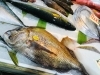 「西海物産館 魚魚市場鮮魚コーナーおすすめ商品は「殻付き牡蠣 特売」です♪」
