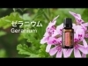 「毎日がしんどいと感じるあなたへ‥毎日をハッピーにする守護龍神メッセージ🌈あなたは1人じゃない」