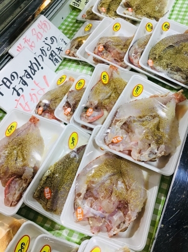 西海物産館 魚魚市場鮮魚コーナーおすすめ商品は 赤マテ貝 です 魚魚の宿のニュース まいぷれ 佐世保