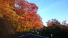枝折峠付近の紅葉「10月23日（木）今日は二十四節気の一つ「霜降」です。」