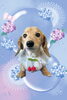 「Dog salon mofu mofu　余市町」