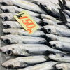 「魚魚市場鮮魚コーナーおすすめは「トビウオ・イサキ」です♪」