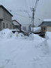 宿前道路が除排雪されました「Good morning Otaru! ◎ 小樽の古民家ゲストハウスより」