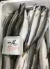 「魚魚市場鮮魚コーナーおすすめは「エビスダイ」「ツキヒガイ」です♪」