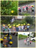 「サボさんのお花  交野市  小規模保育園」
