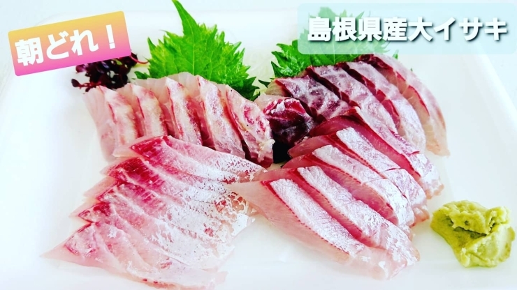 本日のお刺身 朝どれ 島根県産大イサキ 定置もん 島根県産白イカ 寺津屋 仕出し 会席料理のニュース まいぷれ 松江 本日のお刺身 朝どれ 島根県産大イサキ 定置もん 島根県産白イカ 寺津屋 仕出し 会席料理のニュース まいぷれ 松江