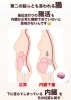 「本物の【腸活】始めませんか？✨【村上市の小顔整体/小顔矯正/全身の歪みを整え戻りの少ない美小顔へ/姿勢改善/自律神経/整顔】」