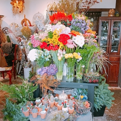 能見台のお花屋さん Hananogaでクリスマスフラワーはいかがですか まいぷれ横浜市磯子区 金沢区 イソカナ編集部のニュース まいぷれ 横浜市磯子区 金沢区 能見台のお花屋さん Hananogaでクリスマスフラワーはいかがですか まいぷれ横浜市磯子区 金沢区 イソカナ編集部のニュース まいぷれ 横浜市磯子区 金沢区